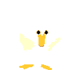 duck.gif (5903 bytes)